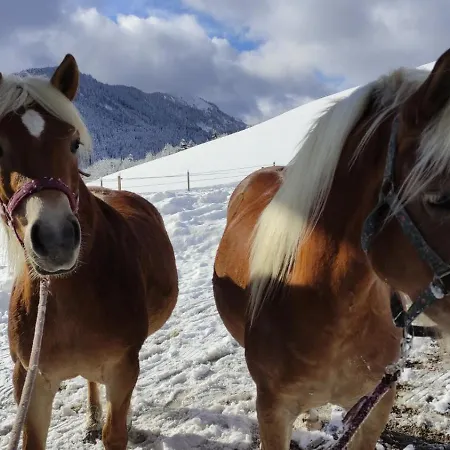 Obersteinberg-hof Inkl. Chiemgaukarte Appartamento Ruhpolding