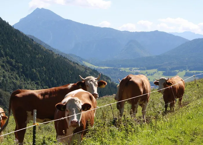 Obersteinberg-hof Inkl. Chiemgaukarte Ruhpolding